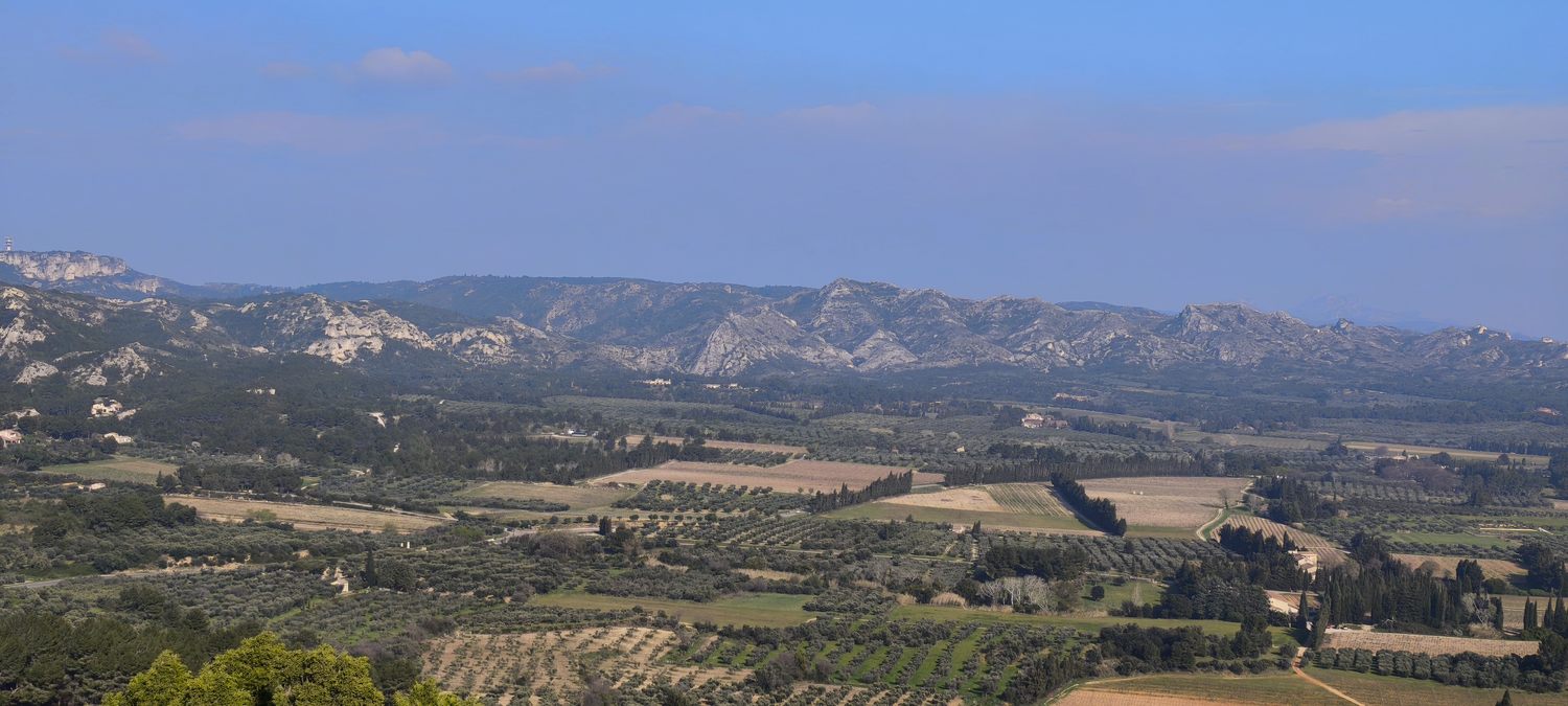 Sortie Florilège aux Baux de Provence