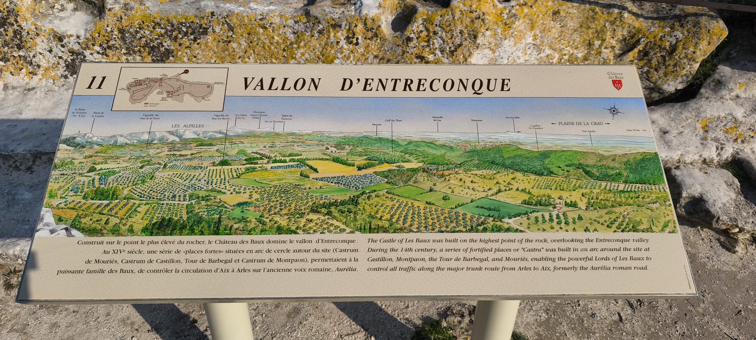 Sortie Florilège aux Baux de Provence