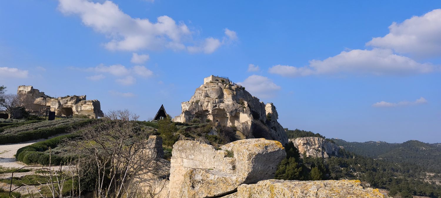 Sortie Florilège aux Baux de Provence