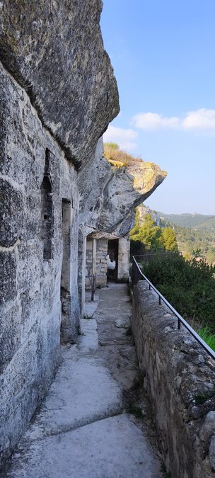 Sortie Florilège aux Baux de Provence