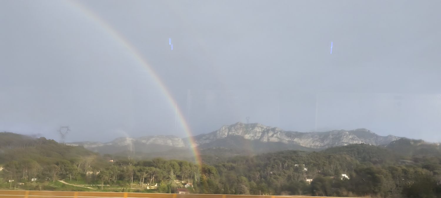 Sortie Florilège aux Baux de Provence