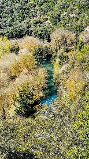 Cabasse