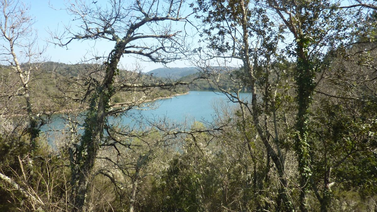 Lac de Saint Cassien