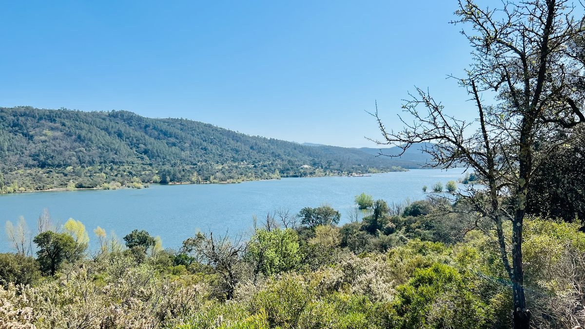 Lac de Saint Cassien