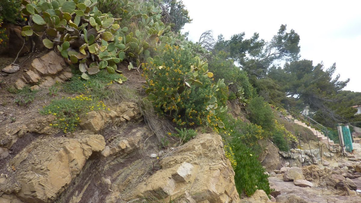 La Seyne, Mar Vivo