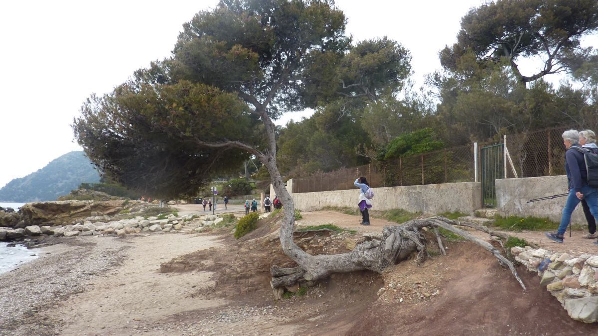 La Seyne, Mar Vivo