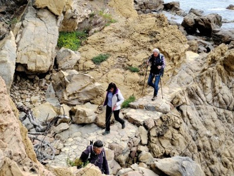 La Seyne, Mar Vivo