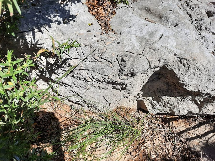 Le Revest, les grottes de sable