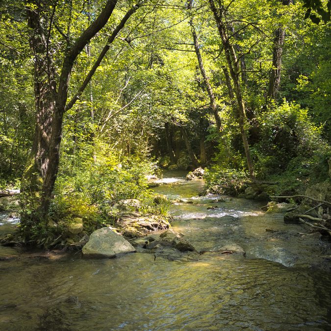 Montrieux, la Font de l’Evoué