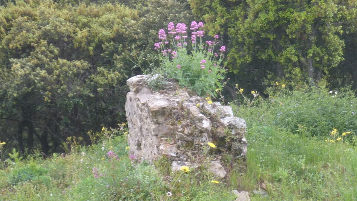 Carnoules, le Roucas