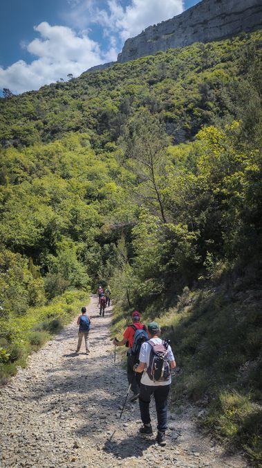 Pourrières, sentier de l’Aubenade