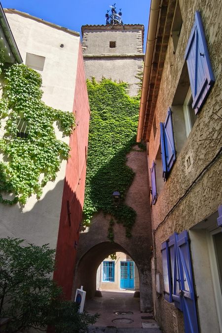 La Roquebrussanne