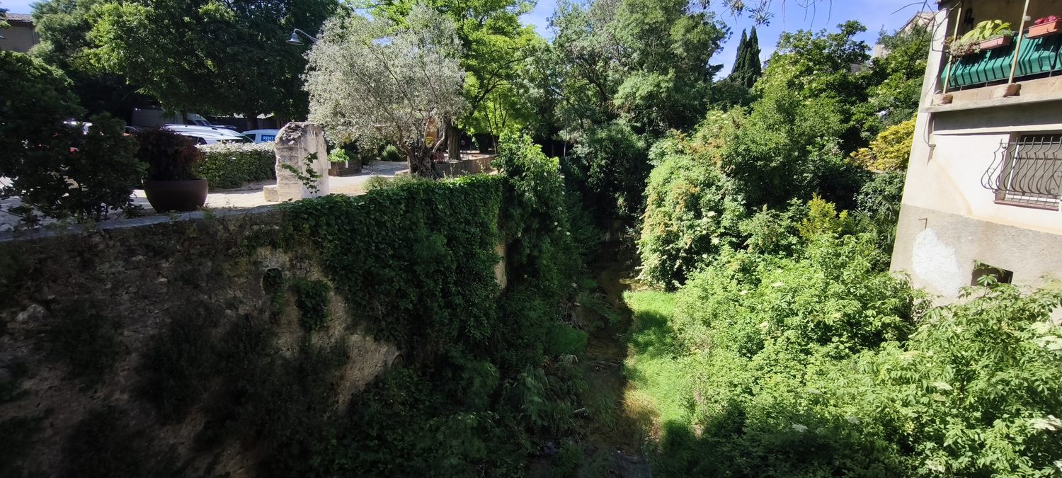 La Roquebrussanne