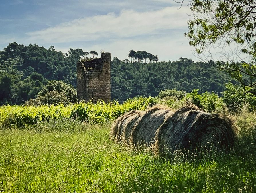 Cotignac