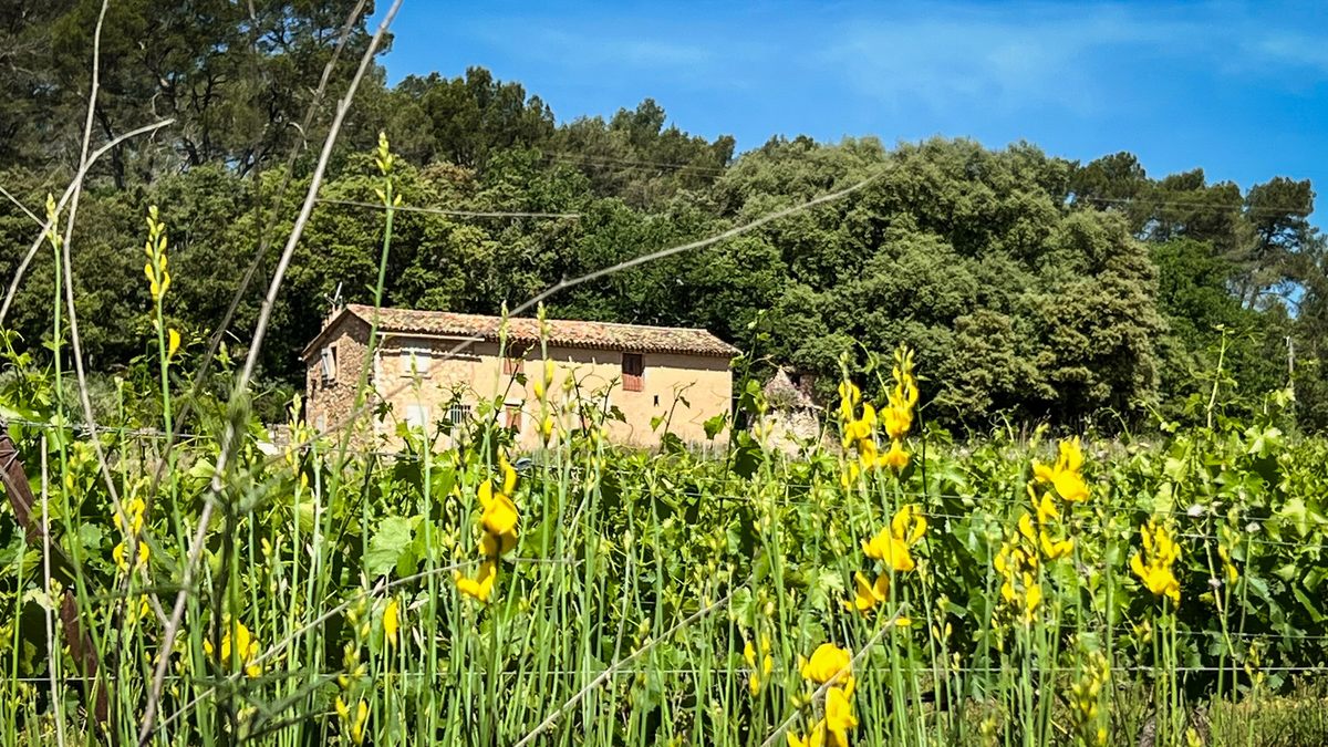 Cotignac