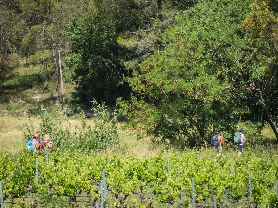 Cotignac