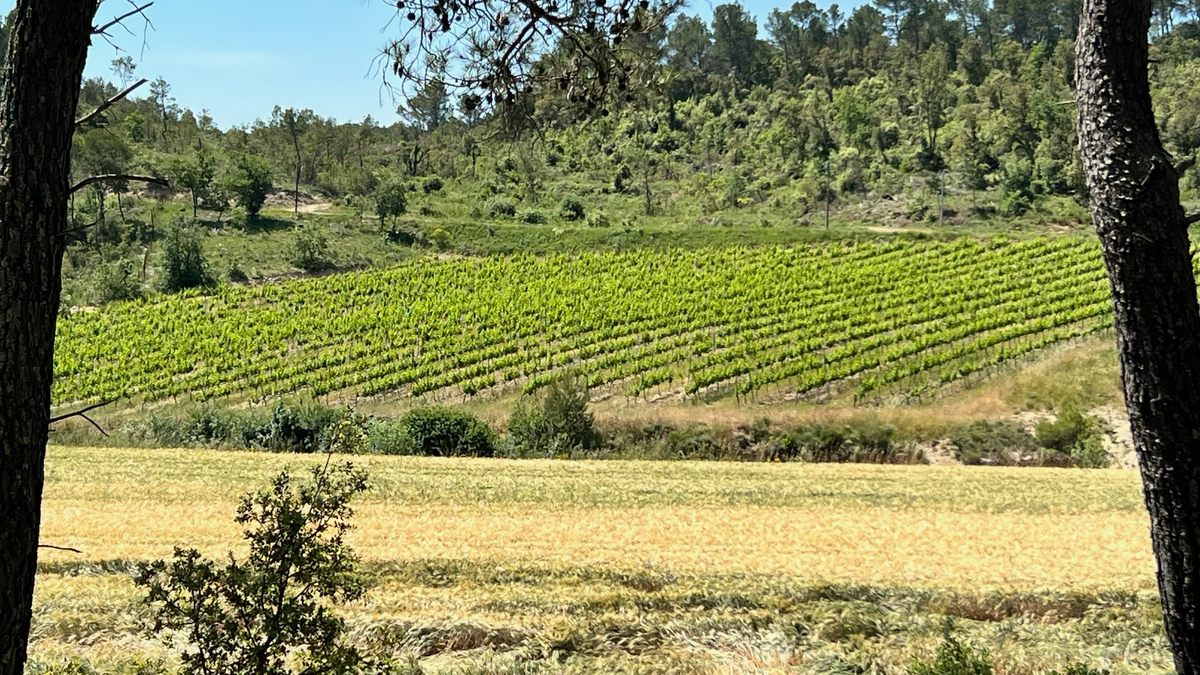Cotignac