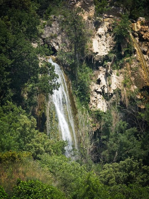Cotignac