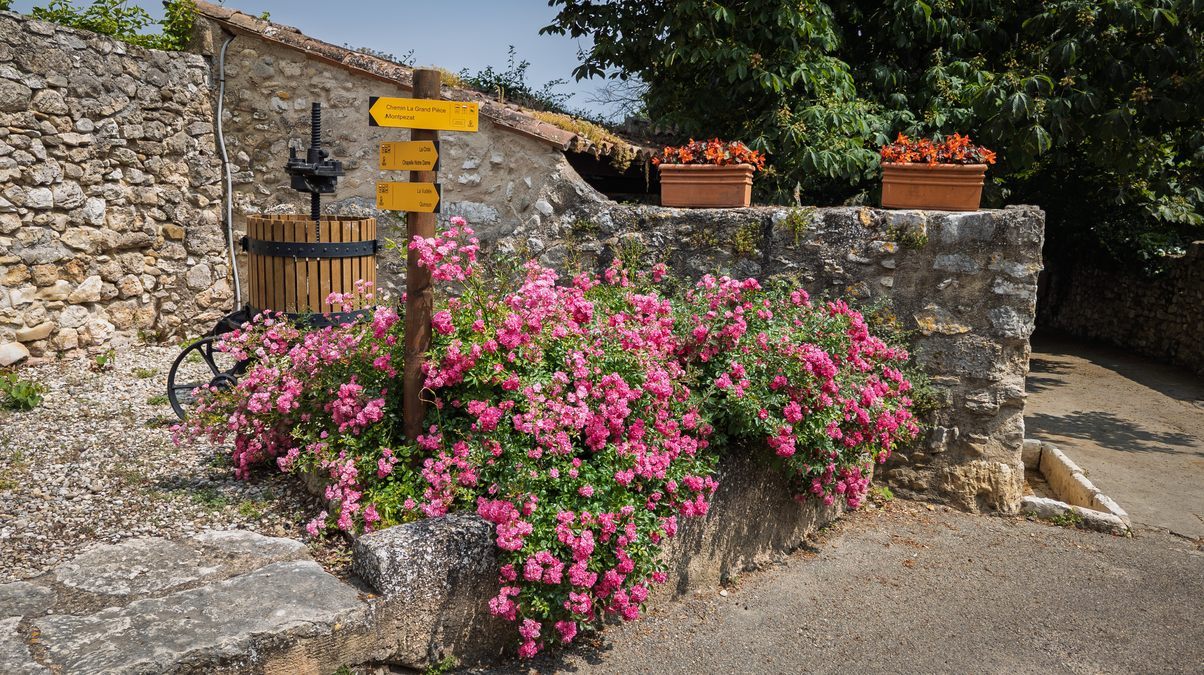 Artignosc, le Verdon