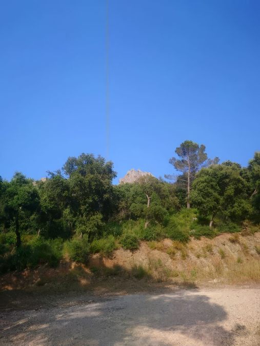 Le Fenouillet