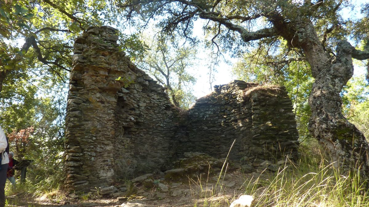 Collobrières, sentier découverte