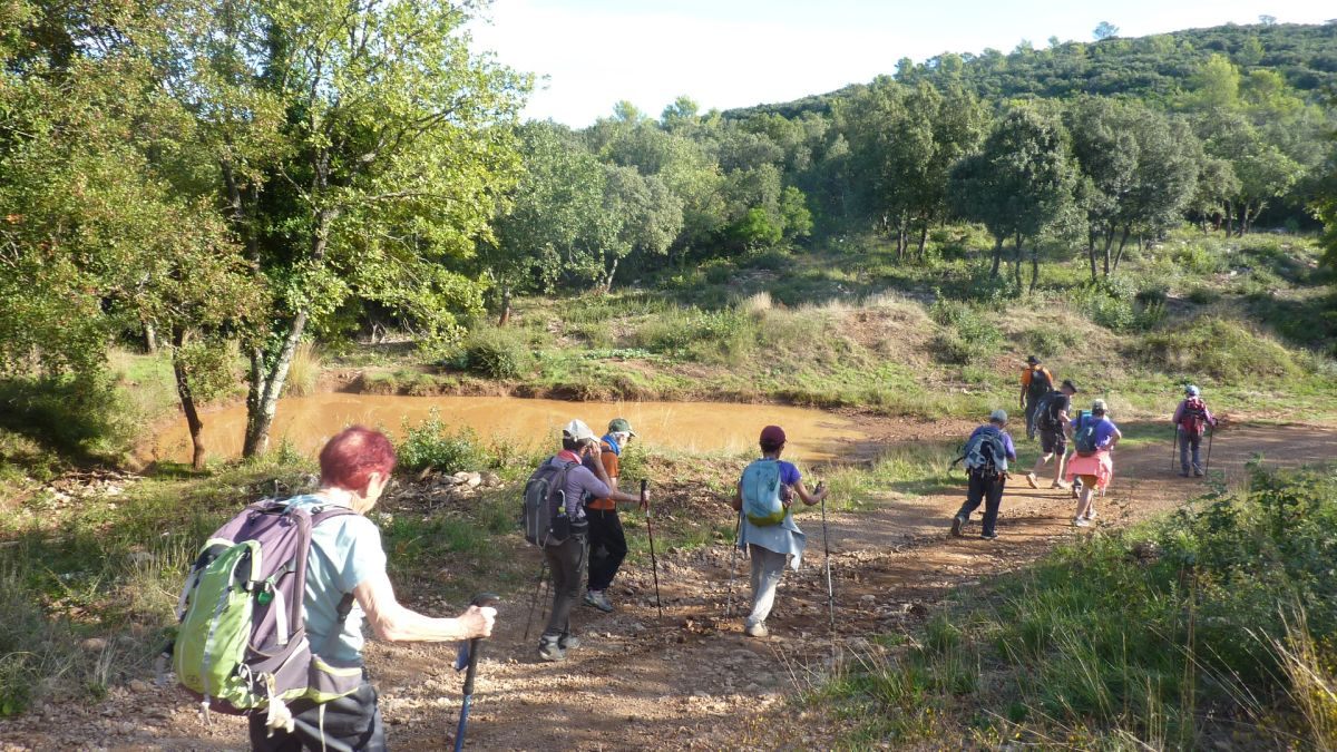 Néoules, pilon Saint Clément