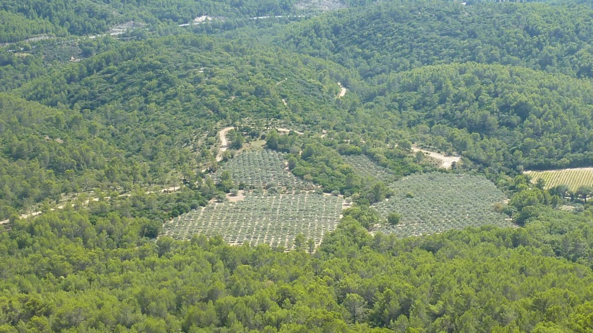 Néoules, pilon Saint Clément