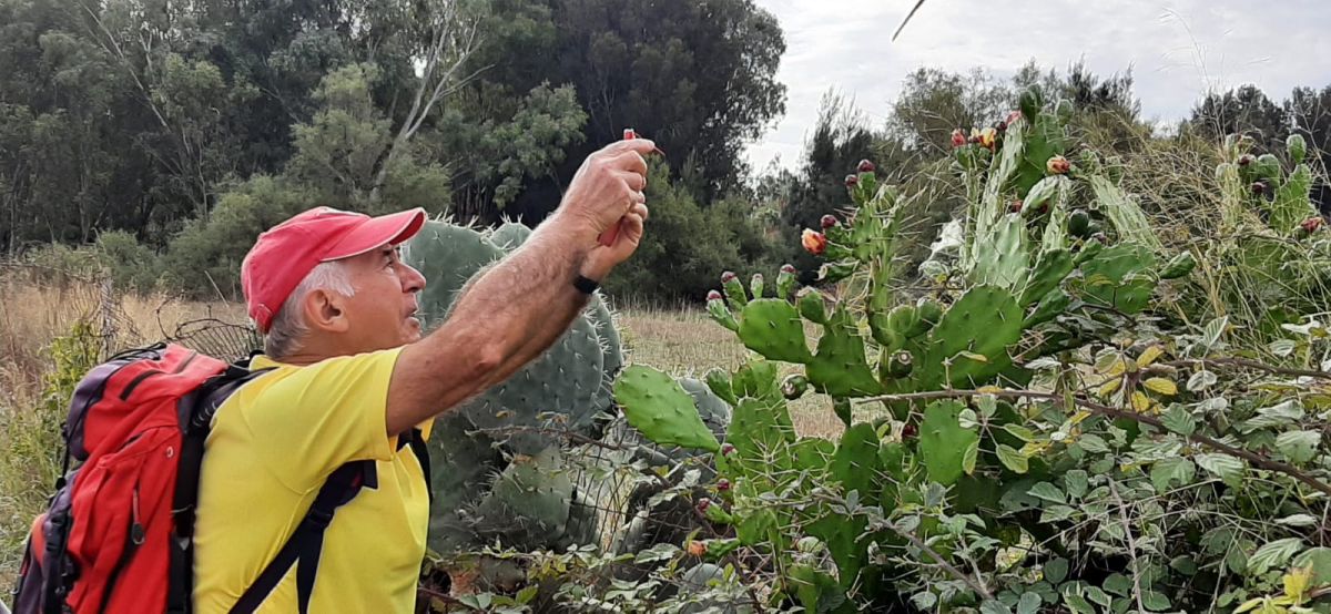 Hyères, le Ceinturon