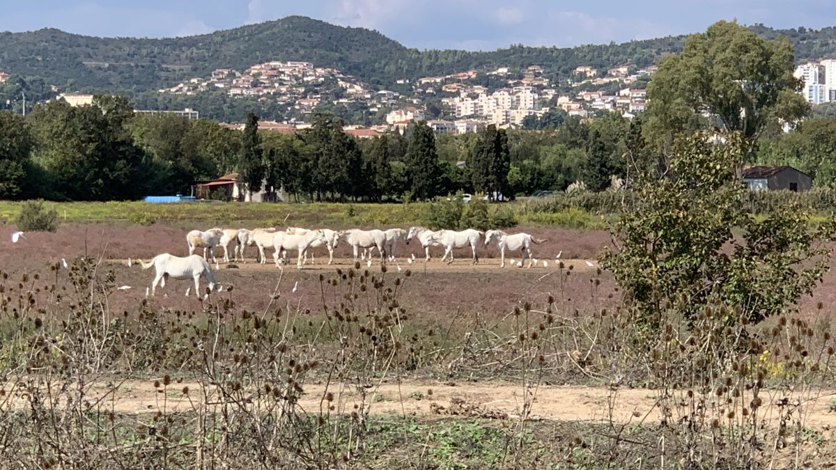Hyères, le Ceinturon