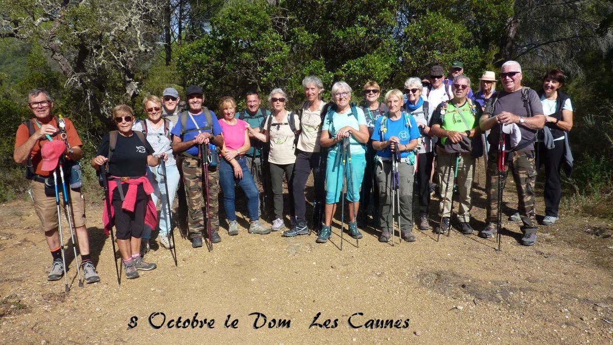 Forêt du Dom, les Caunes