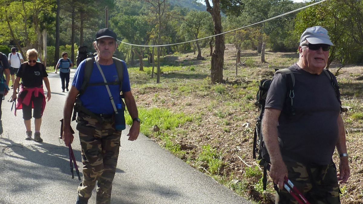 Forêt du Dom, les Caunes