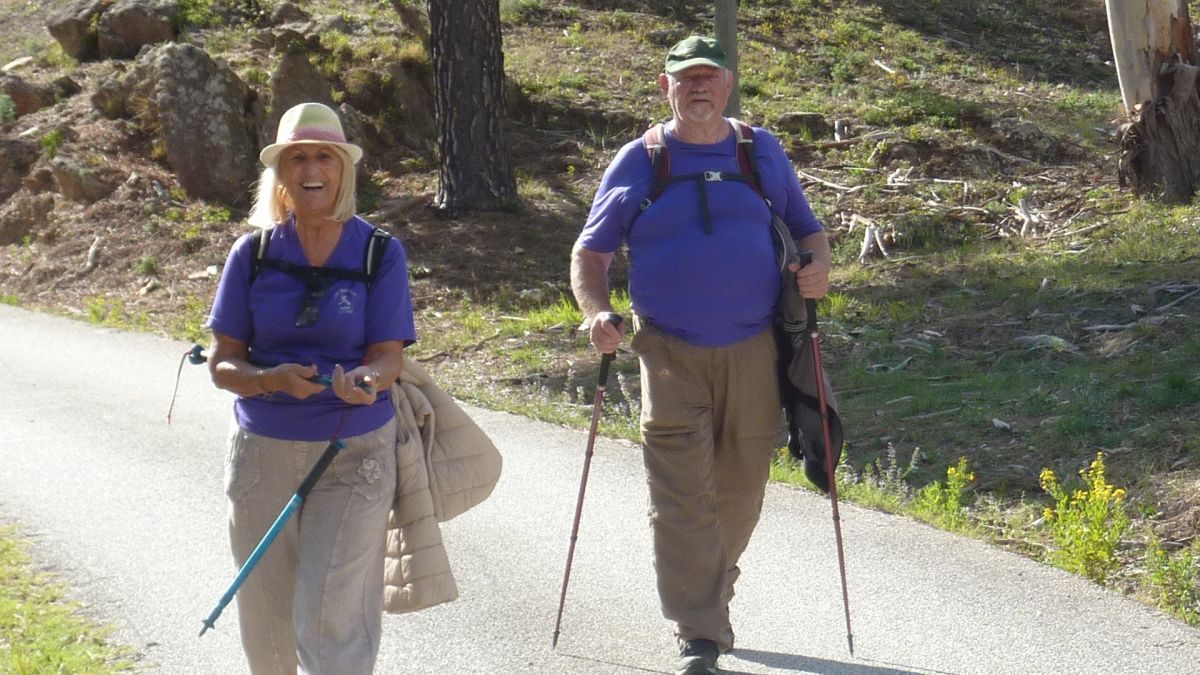 Forêt du Dom, les Caunes