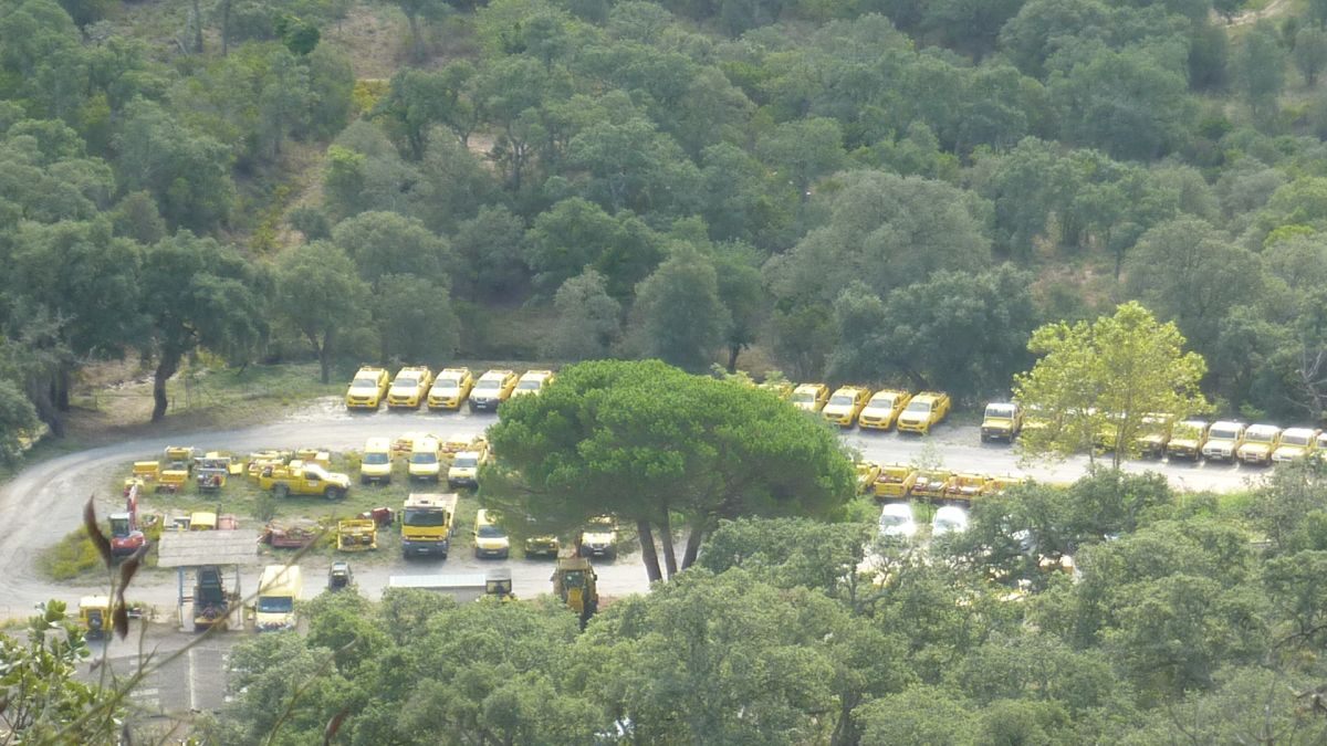 Forêt du Dom, les Caunes
