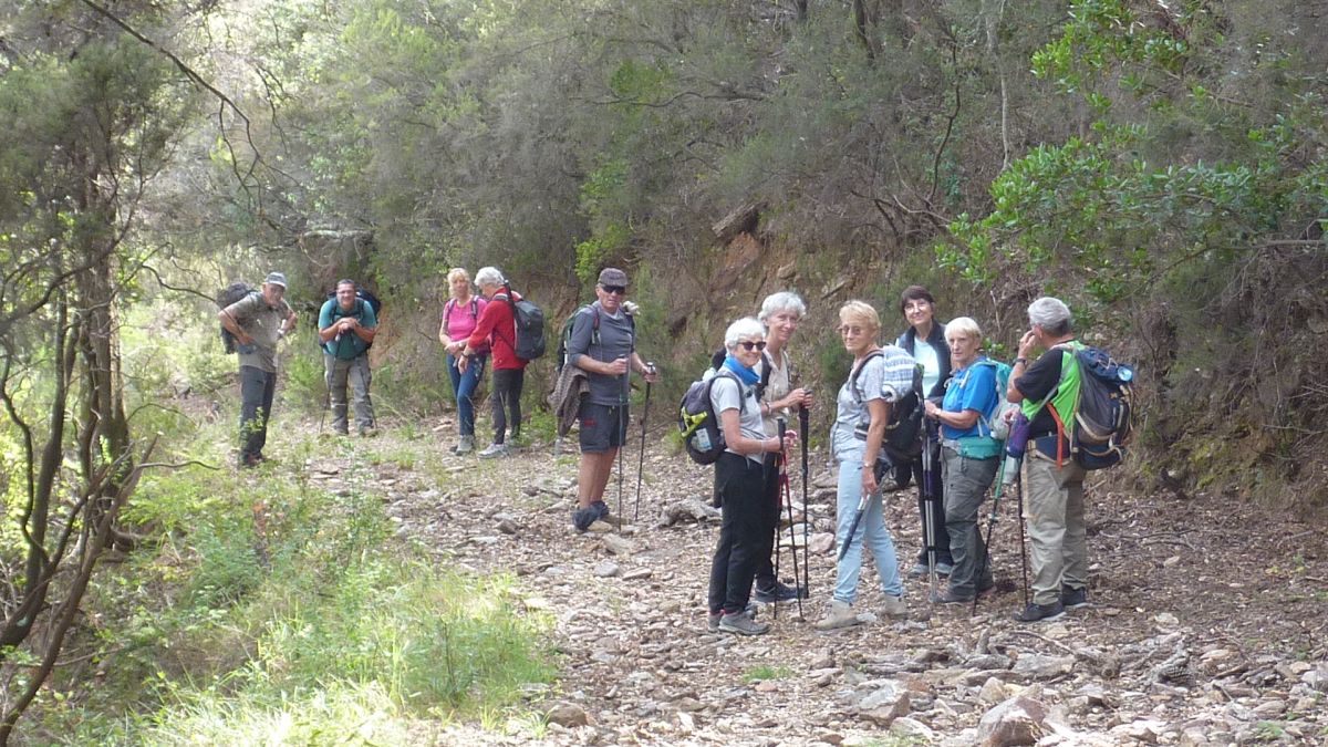 Forêt du Dom, les Caunes