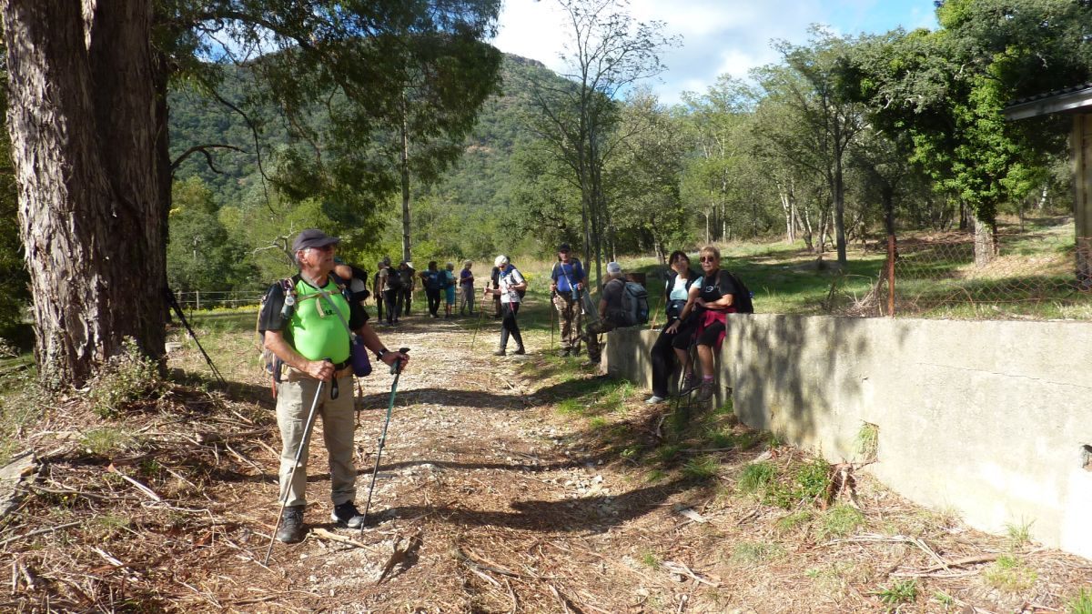 Forêt du Dom, les Caunes