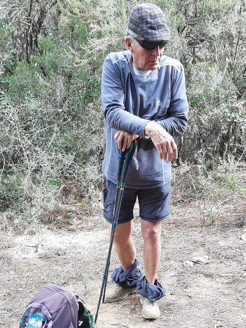 Forêt du Dom, les Caunes