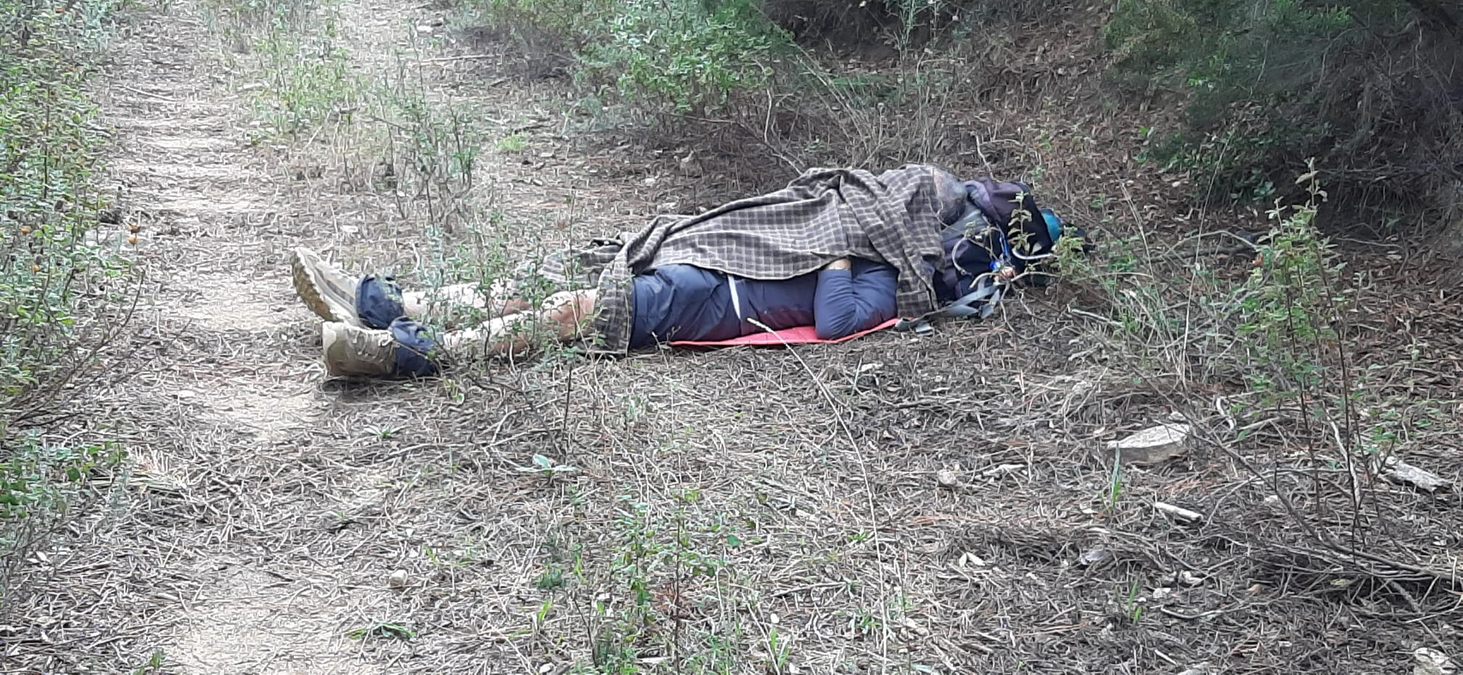 Forêt du Dom, les Caunes