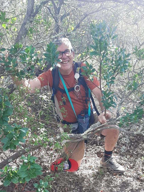 Forêt du Dom, les Caunes