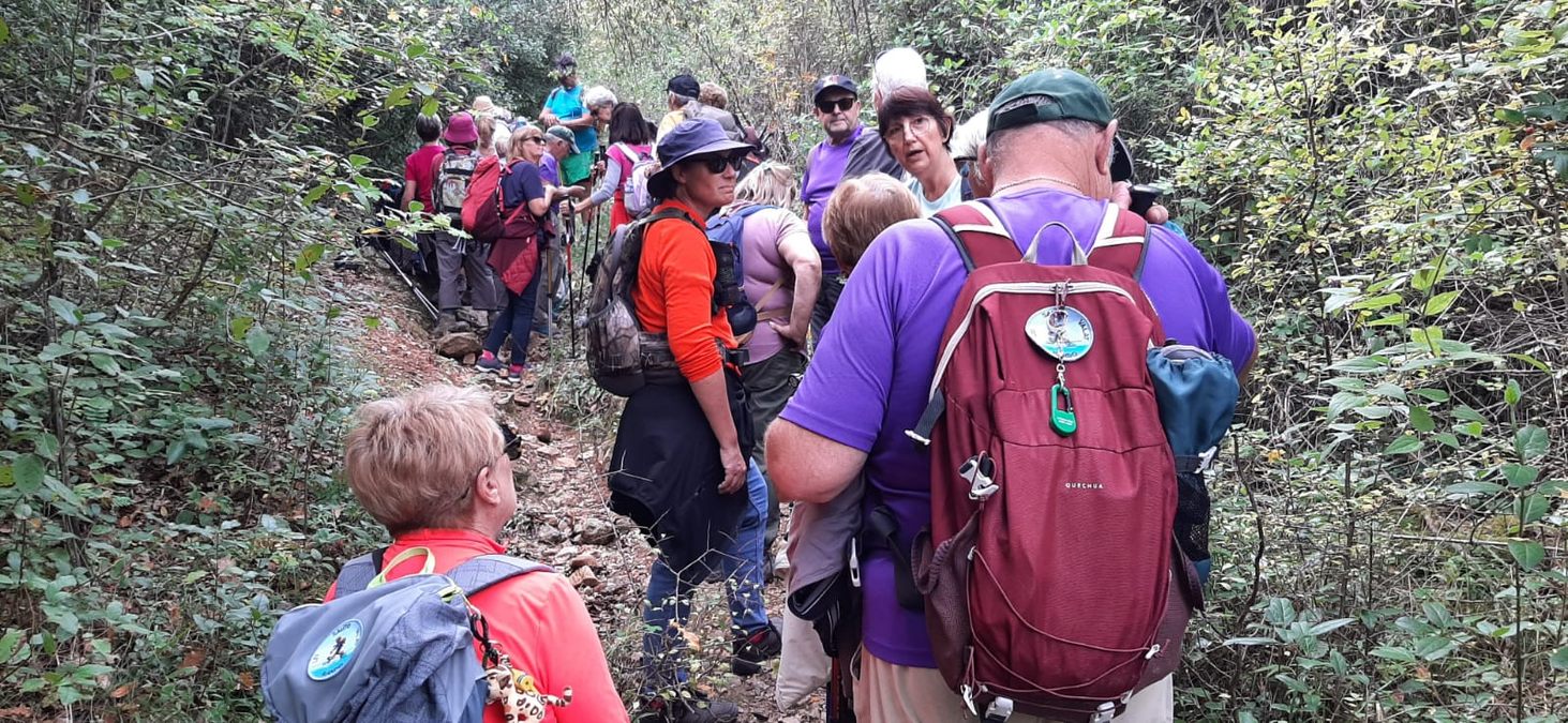 Camps la Source, vallon de Cardéou