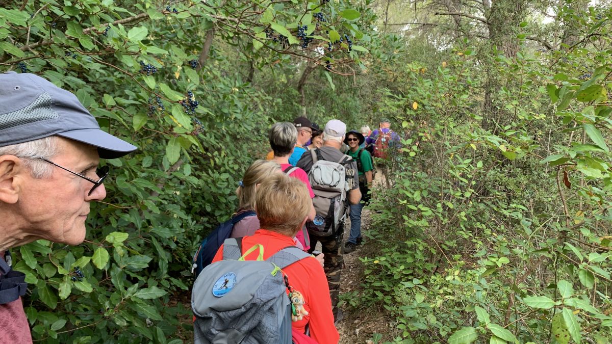 Camps la Source, vallon de Cardéou
