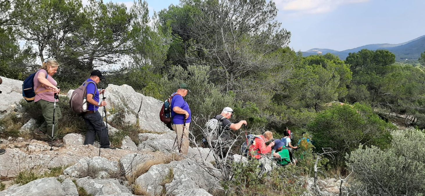 Camps la Source, vallon de Cardéou