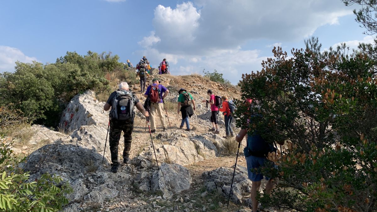 Camps la Source, vallon de Cardéou