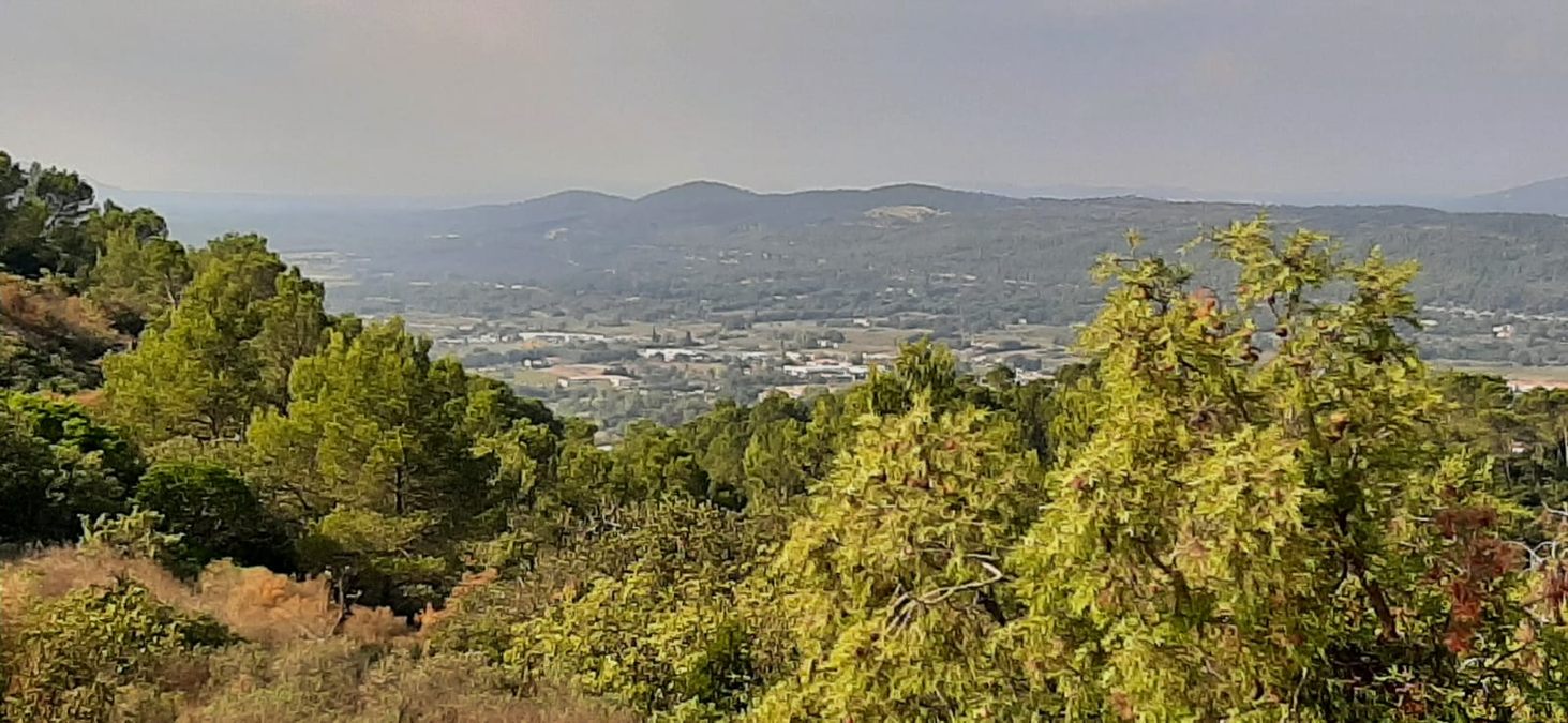 Camps la Source, vallon de Cardéou