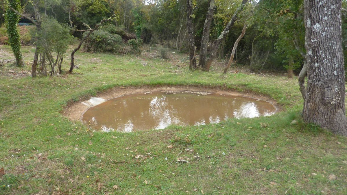 Flassans, la voie aurélienne