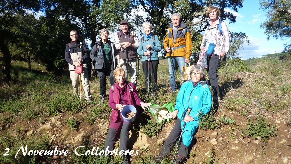 Le Laïré, champignons