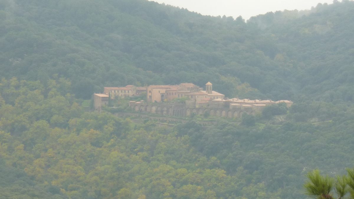 Le Laïré, champignons