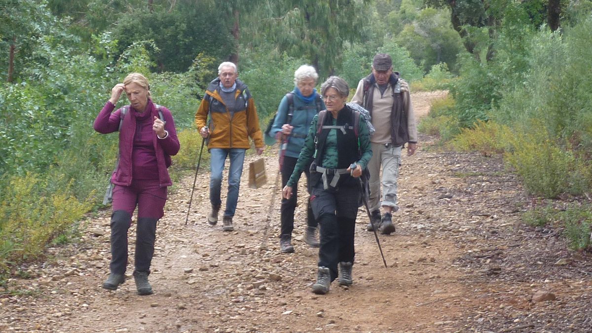Le Laïré, champignons