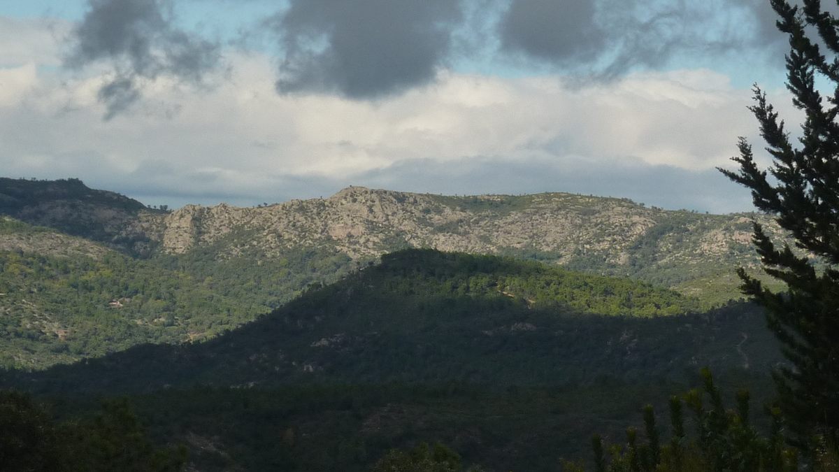 Le Laïré, champignons