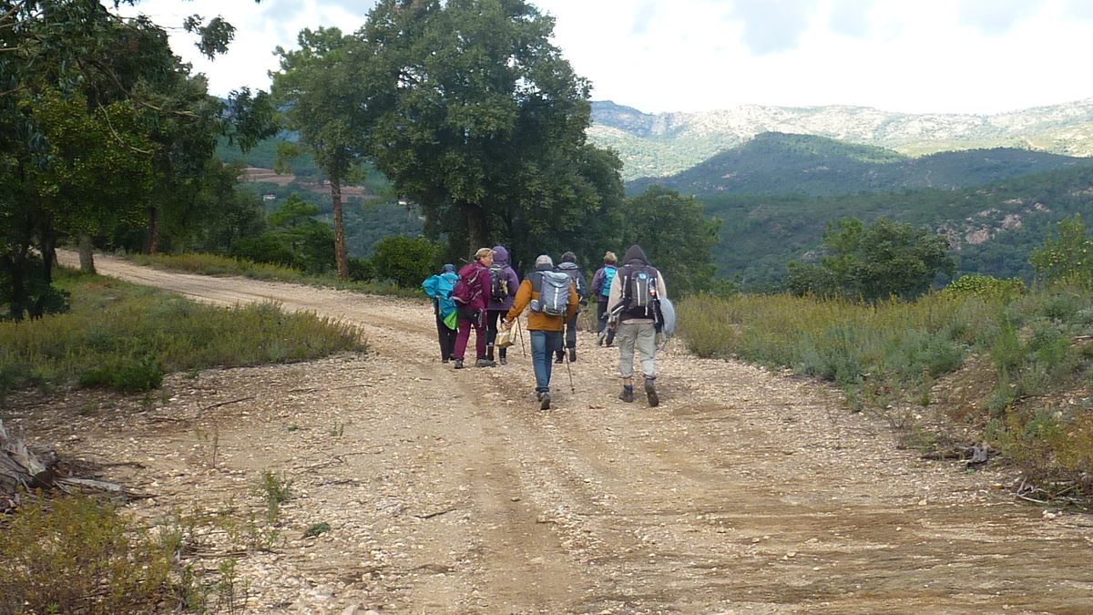 Le Laïré, champignons