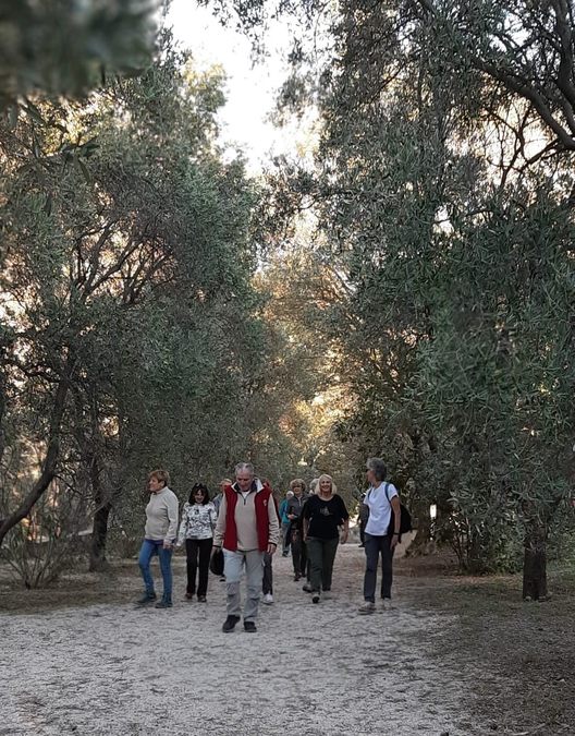 Solliès-Pont, Sainte Christine